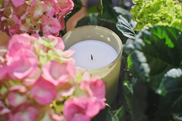 Luxe bougies parfumées Éclats sauvages : explorez les arômes